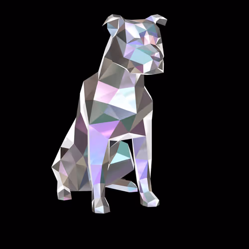 Precious Puddin Dog Project Pt2