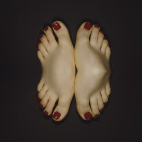 Predilection Art Collection - old