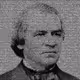 ArtBot art President Andrew Johnson - old
