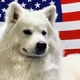President Blizzard