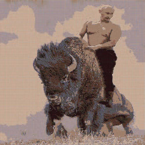 President Putin Riding a Bison