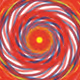 Primary Vortex