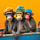 Primate-Palette