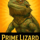 Prime Lizard
