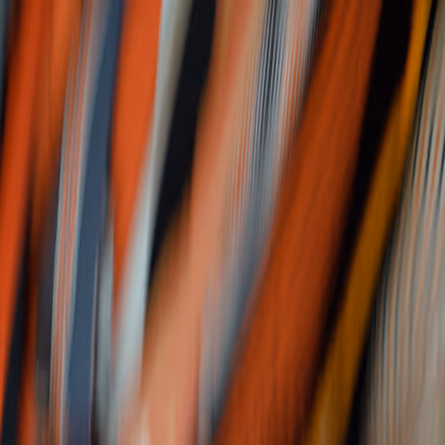 2023 Princeton Reunions Cover Art