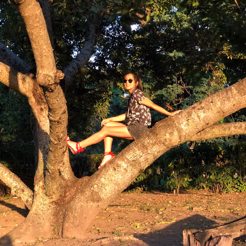 Private collection V2