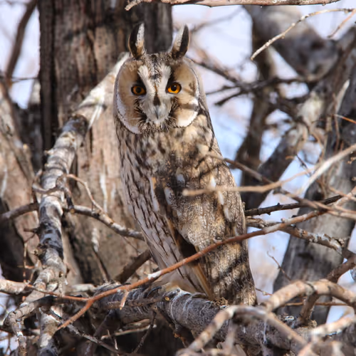 Professional photographers