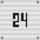 Project 24