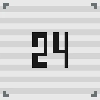 Project 24
