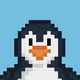 Project Dignity Penguins