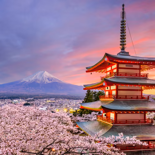 Project Japan TEST