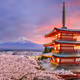 Project Japan TEST
