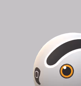 Project - Joe Paper Eye