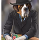 Pro Poker Dogs