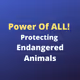 Protecting Endangered Animals