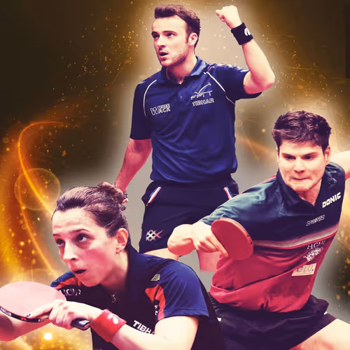 Professional table tennis player nft - old V2