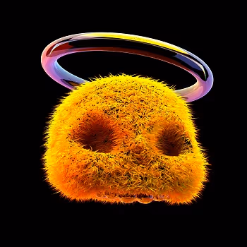 Prova - xEtsOLZzBv - old