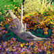 Psyche & Cupid in the Grass