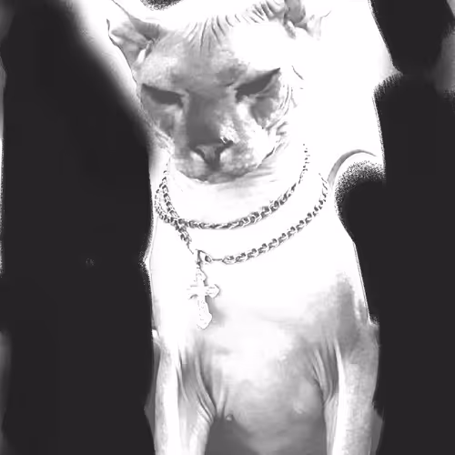 psychedelic cat V3