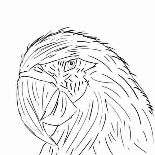 Psychedelic Crypto Arts