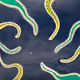 psychedelic dreams painting the digital sea