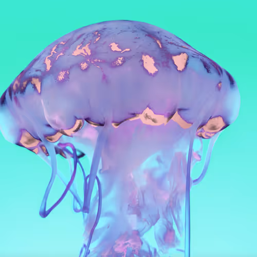 Psychedelic Jellyfish