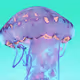Psychedelic Jellyfish