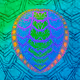 Psychedelic Turtle Shell