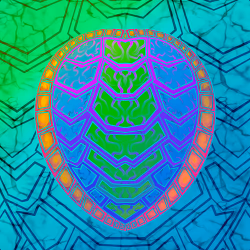 Psychedelic Turtle Shell