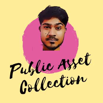 Public asset collection