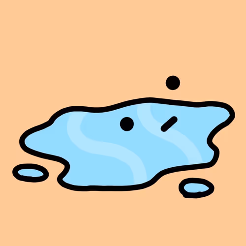 Puddles.
