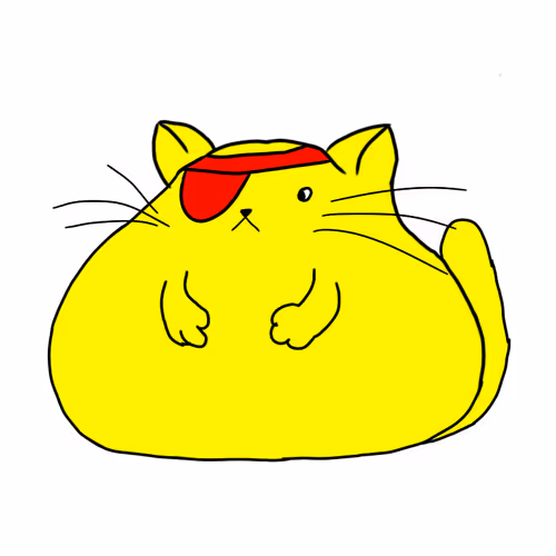 Pudgy Cat