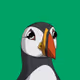 Puffins