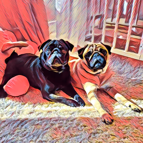 Pugs family
