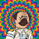 Pugs On Drugs - old V3