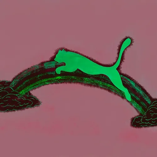 Puma design