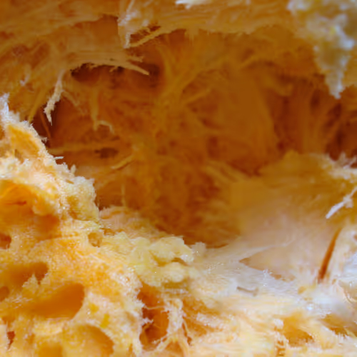 Pumkins as never seen before - old