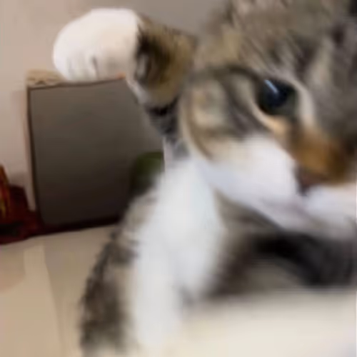 PUNCH