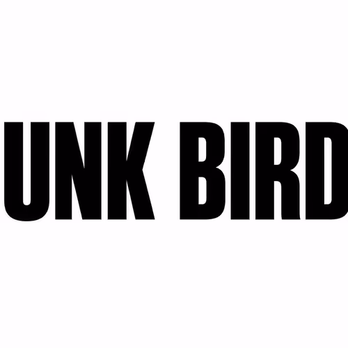 Punk Birds (V0)