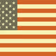 Punk Flag