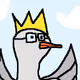 punky birds