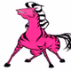 punkZebra