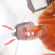 punychi