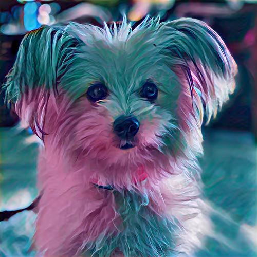 Puppies at Home