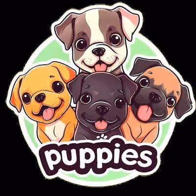 puppies-shell