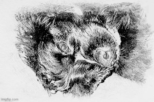 Puppy-Thoughts - old