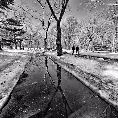 Pure Street Photography