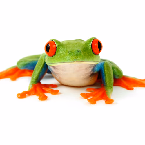 Pure white background