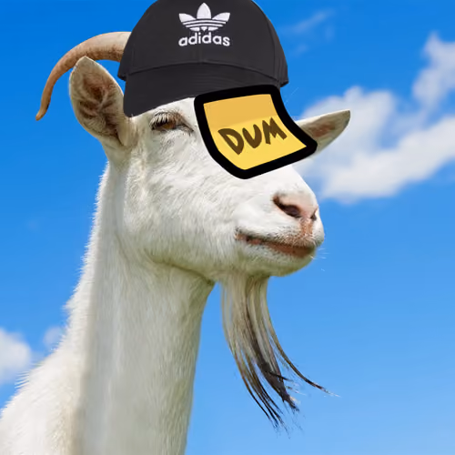 Dum Dum Goats - old