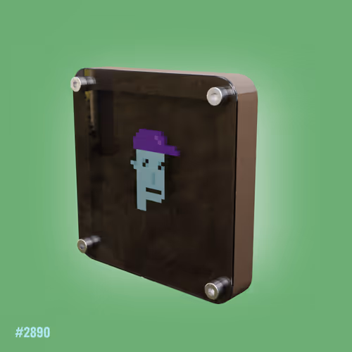 purple boy ... cryptopunk #2980 - old